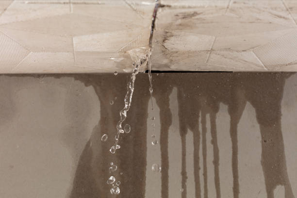 Professional Burst Pipe Cleanup technician working in Malden, WA